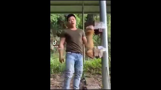 Video - Clip: Biểu diễn đá gãy chân bò, võ sĩ Trung Quốc nhận cái kết bẽ mặt