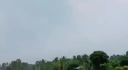 Video - Clip: Cố bám dây diều, người đàn ông bị kéo bay lơ lửng trên không