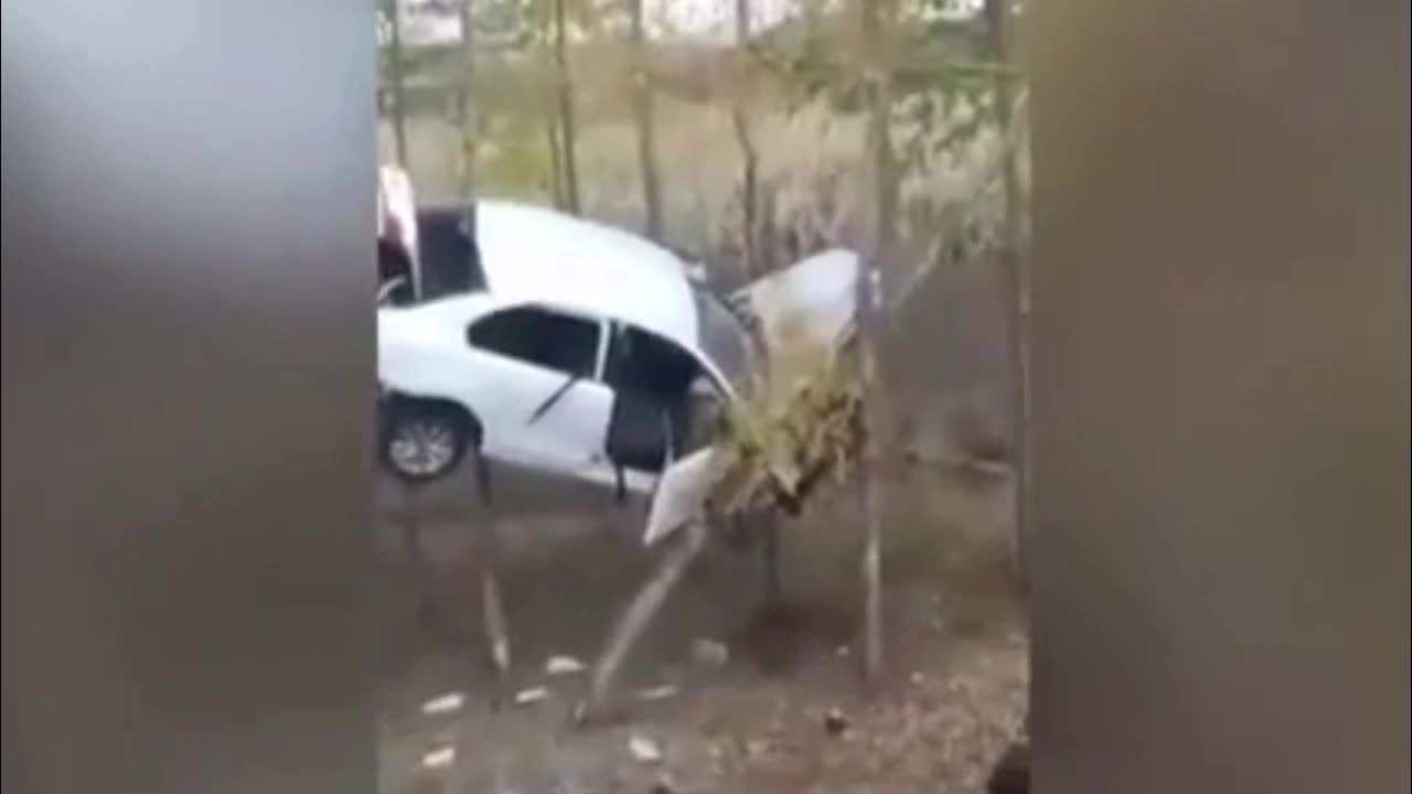 Video - Clip: Ô tô mất lái bay lên không trung rồi nằm vắt vẻo giữa 2 ngọn cây
