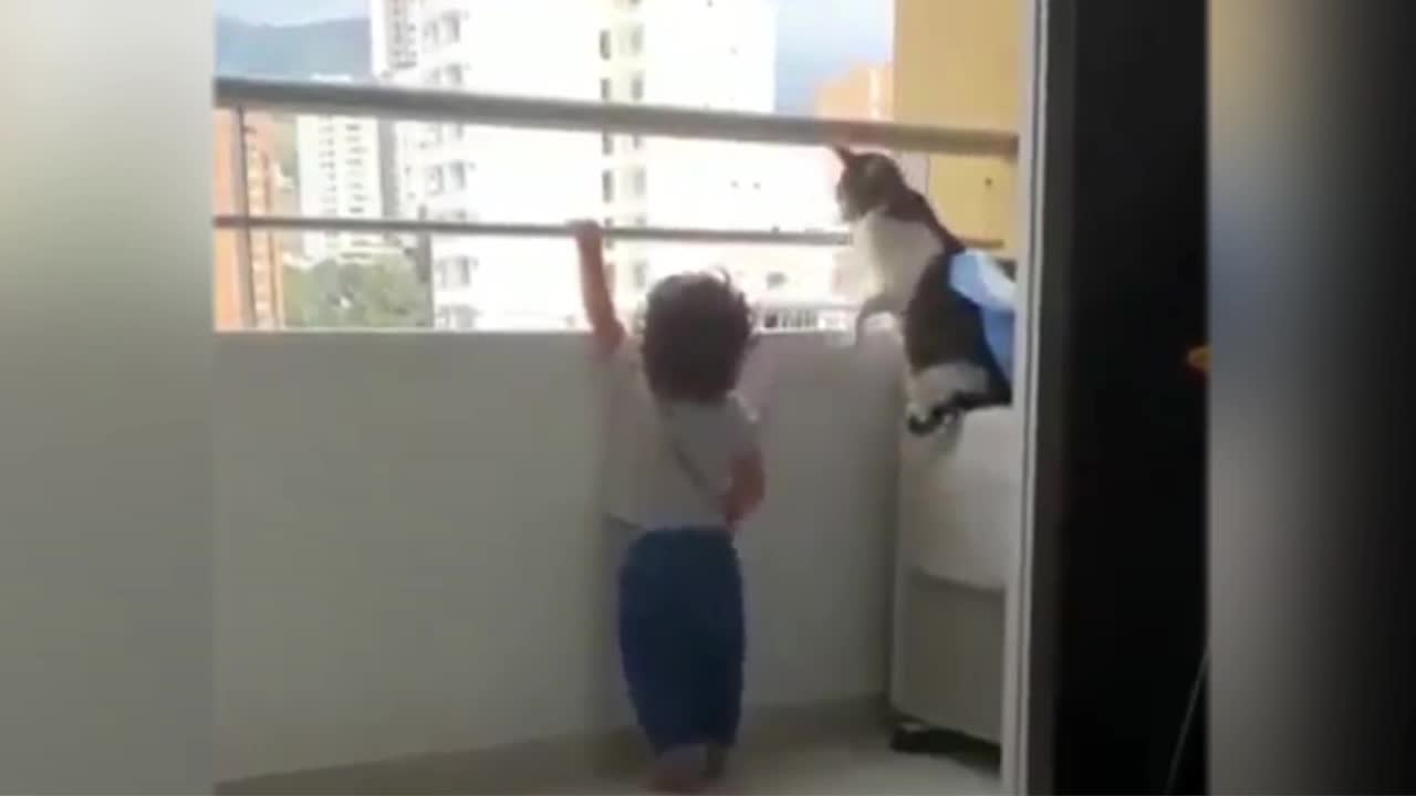 Giải trí - Clip: Mèo nhà tìm mọi cách cản em bé trèo lan can