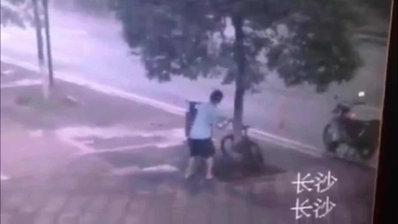 Giải trí - Clip: 'Chơi lớn', thanh niên cưa đổ cây trên phố để trộm xe đạp