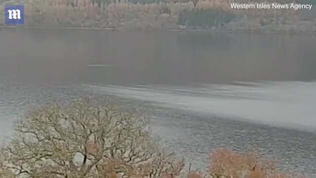 Giải trí - Clip: Lần thứ 13 bắt gặp quái vật hồ Loch Ness