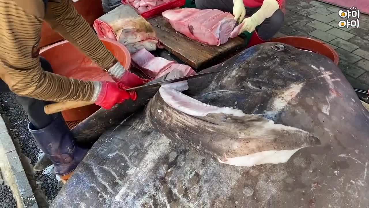 Giải trí - Clip: Xẻ thịt cá mặt trăng khổng lồ