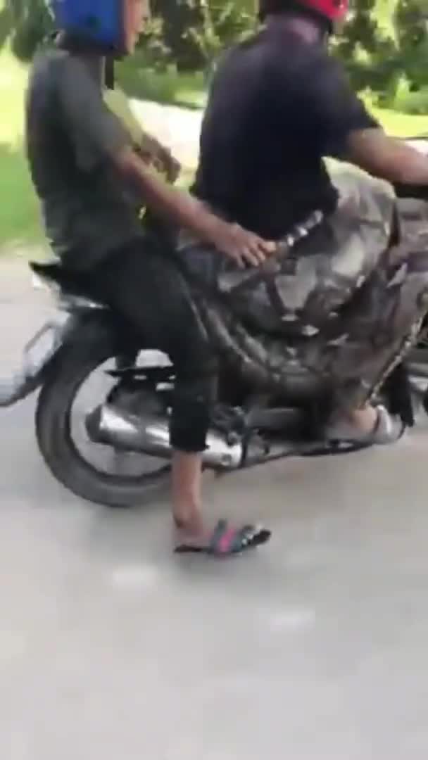 Giải trí - Clip: Người đàn ông chở trăn nặng 200kg trên xe máy và sự thật bất ngờ
