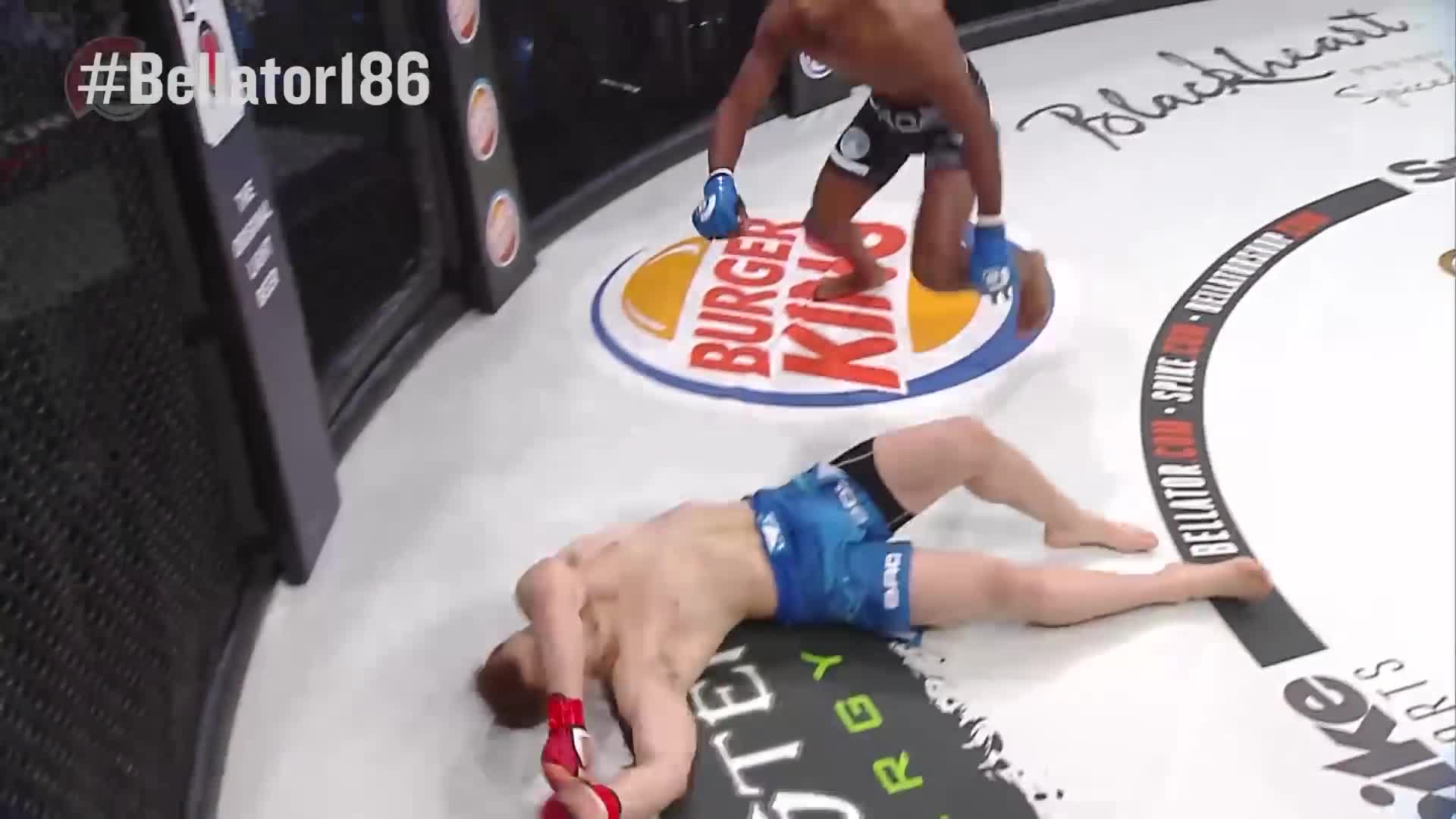 Giải trí - Clip: Tung đòn lên gối 'thần sầu' võ sĩ MMA hạ đối thủ trong 1 giây