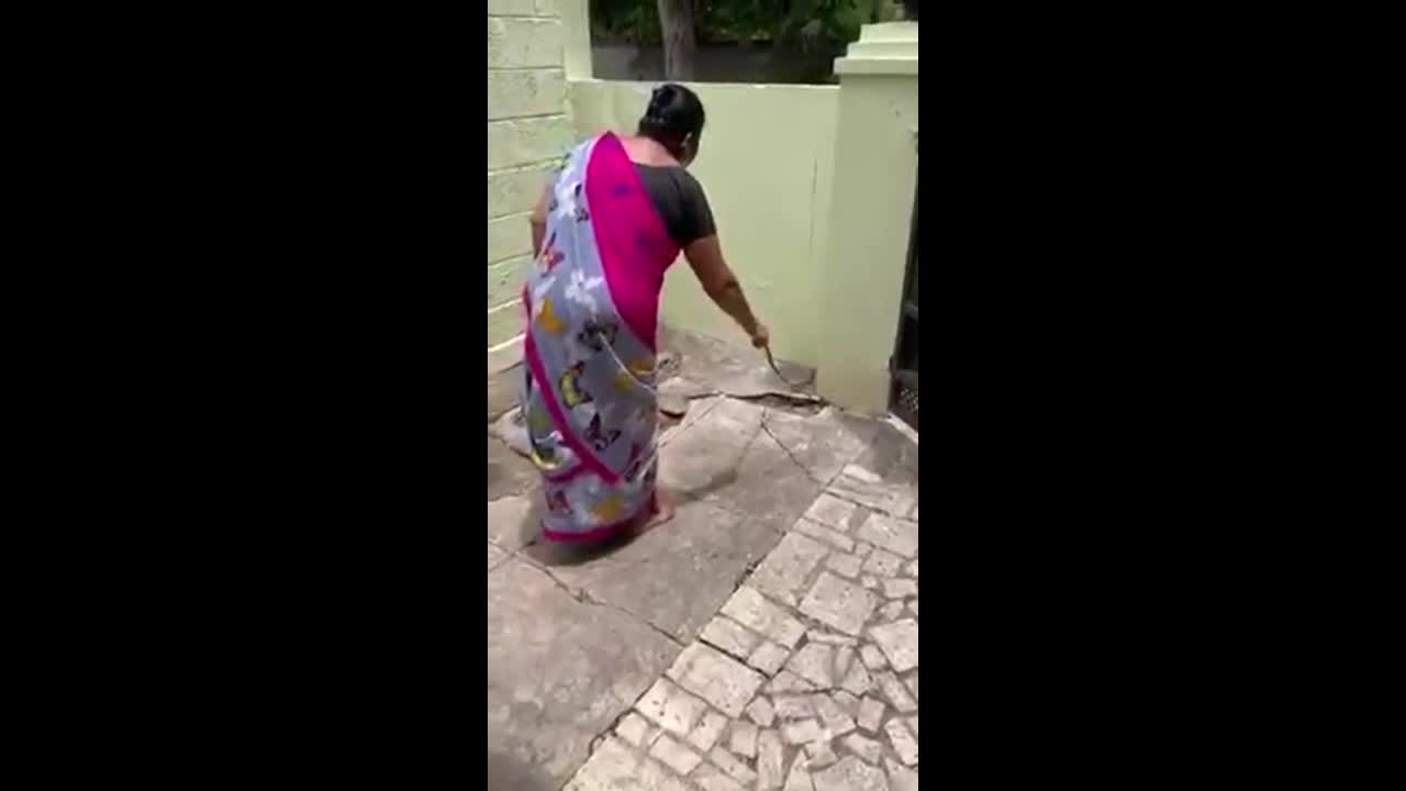 Mới- nóng - Clip: Thấy rắn hổ mang bò vào nhà, người phụ nữ có cách xử lý bất ngờ