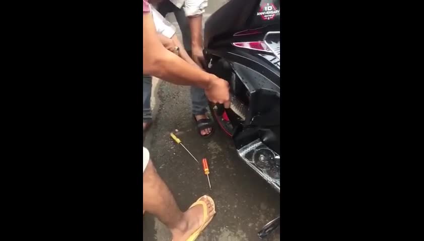 Giải trí - Clip: Người đàn ông dùng tay không bắt rắn 'khủng' trốn trong xe máy