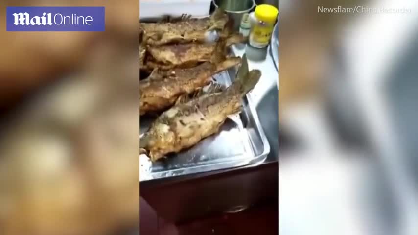Video - Clip: Cá rán chín vẫn giãy đành đạch khiến người xem hoảng hồn