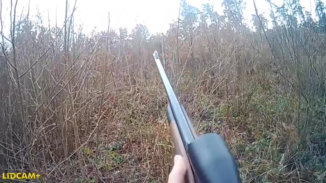 Video - Clip: Cầm súng săn hươu, thợ săn bị con mồi tấn công kinh hoàng