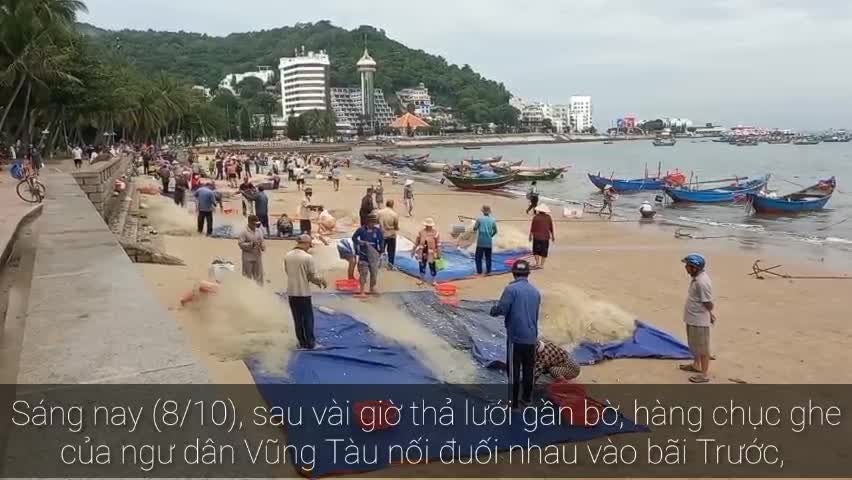 Dân sinh - Ngư dân Vũng Tàu phấn khởi 'rủ lưới nhặt cá' sau vài giờ ra biển (Hình 12).