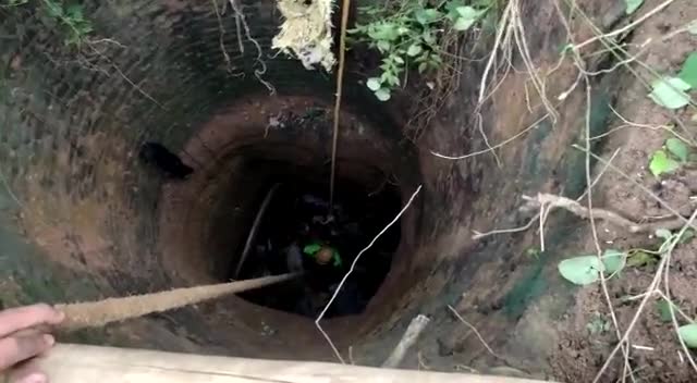 Video - Clip: Giải cứu con dê rơi xuống giếng bỏ hoang sâu 30m