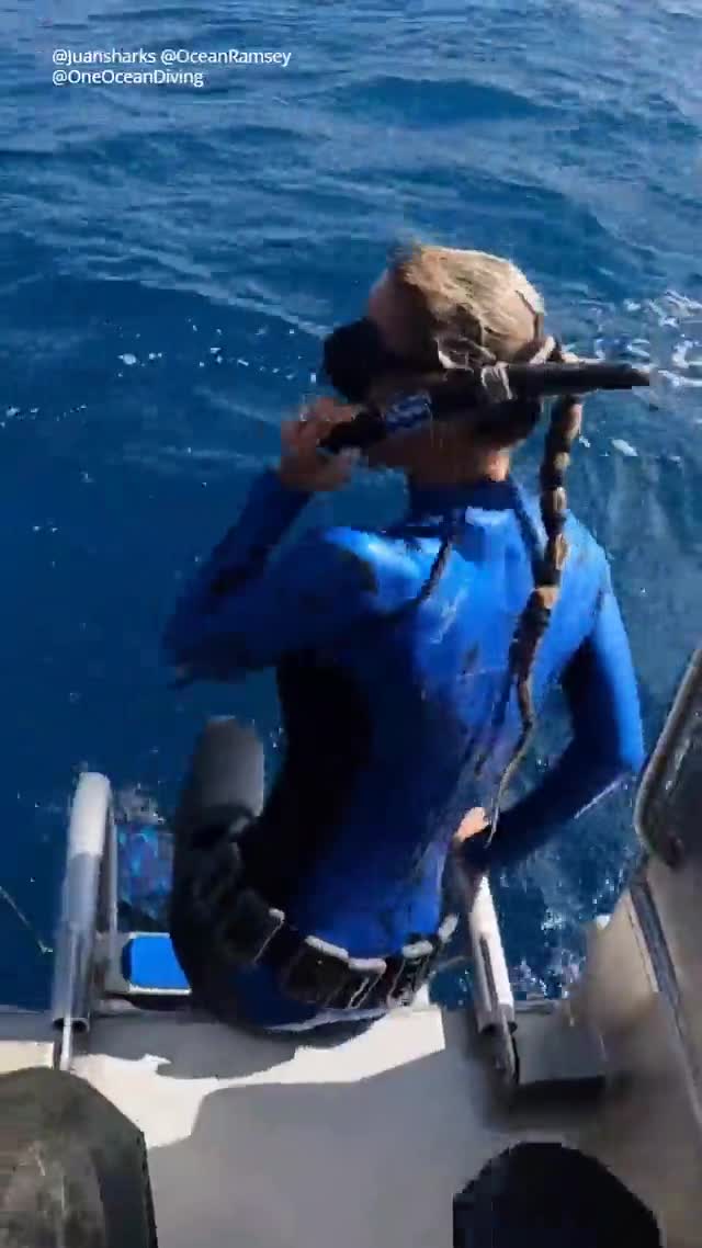 Giải trí - Clip: Hành động bất ngờ của nữ thợ lặn trước miệng cá mập đói