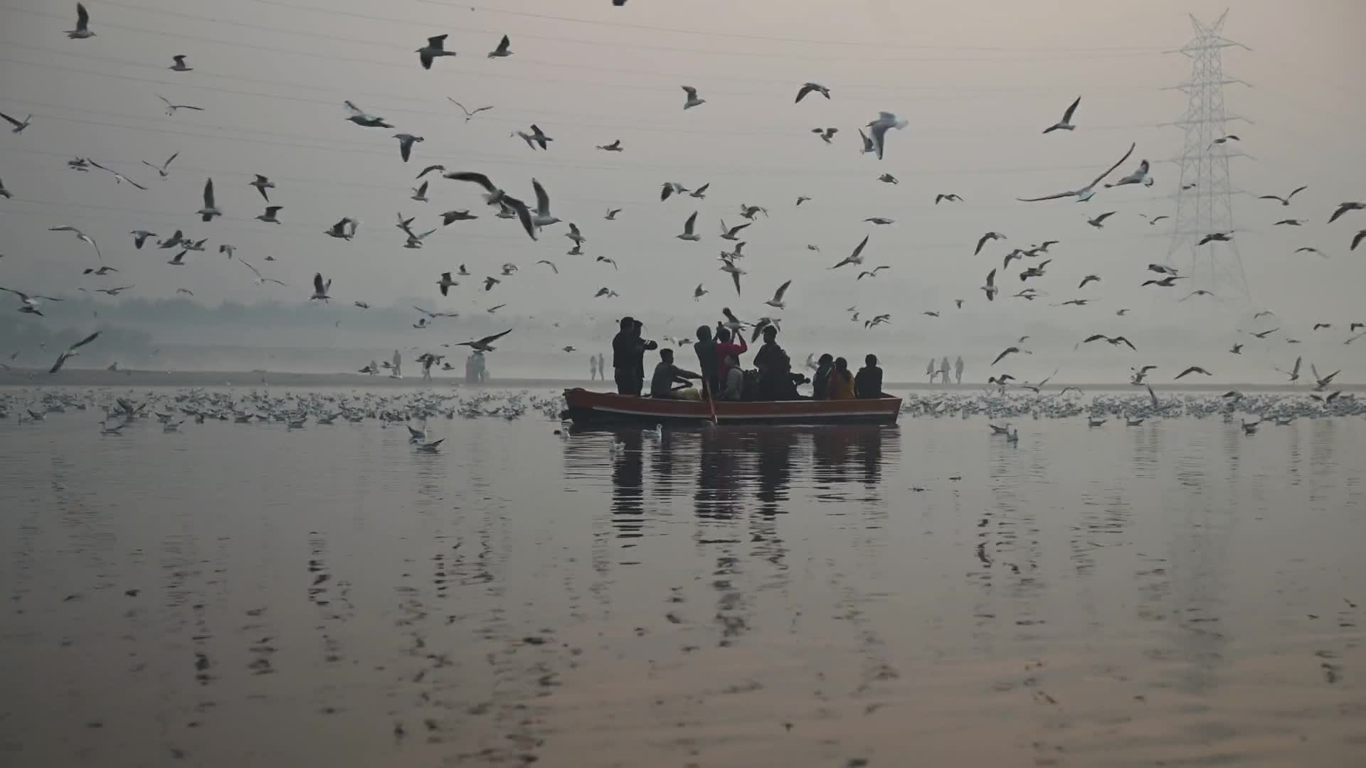 Video - Clip: Choáng ngợp cảnh hàng ngàn con chim bao vây thuyền của ngư dân