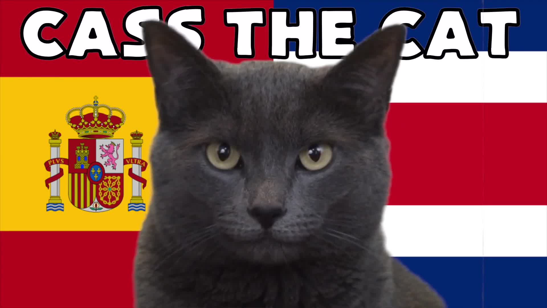 Thể thao - “Mèo tiên tri” và đại bàng Romeo dự đoán kết quả trận Tây Ban Nha và Costa Rica (Hình 3).