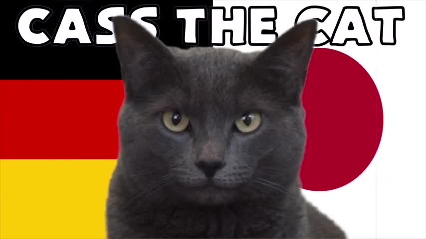Thể thao - Mèo “tiên tri” và đại bàng Romeo dự đoán kết quả trận Đức và Nhật Bản (Hình 4).