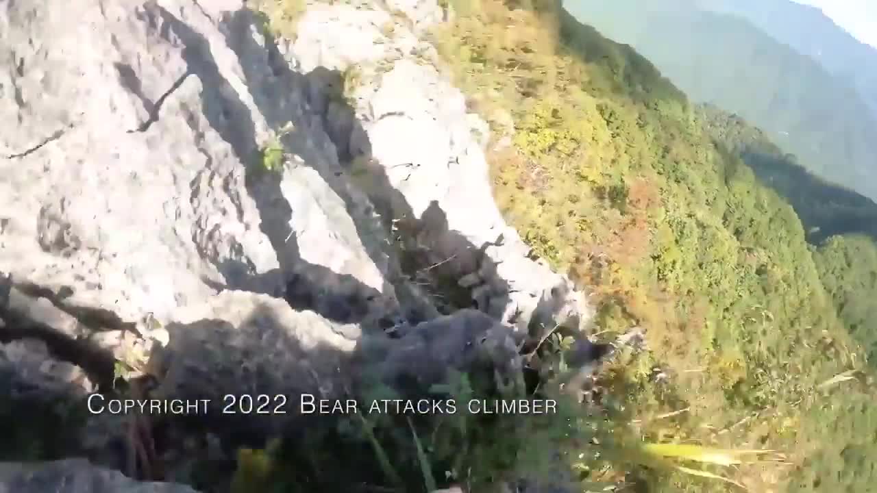 Video - Clip: Người đàn ông dùng tay không đánh nhau với gấu và cái kết