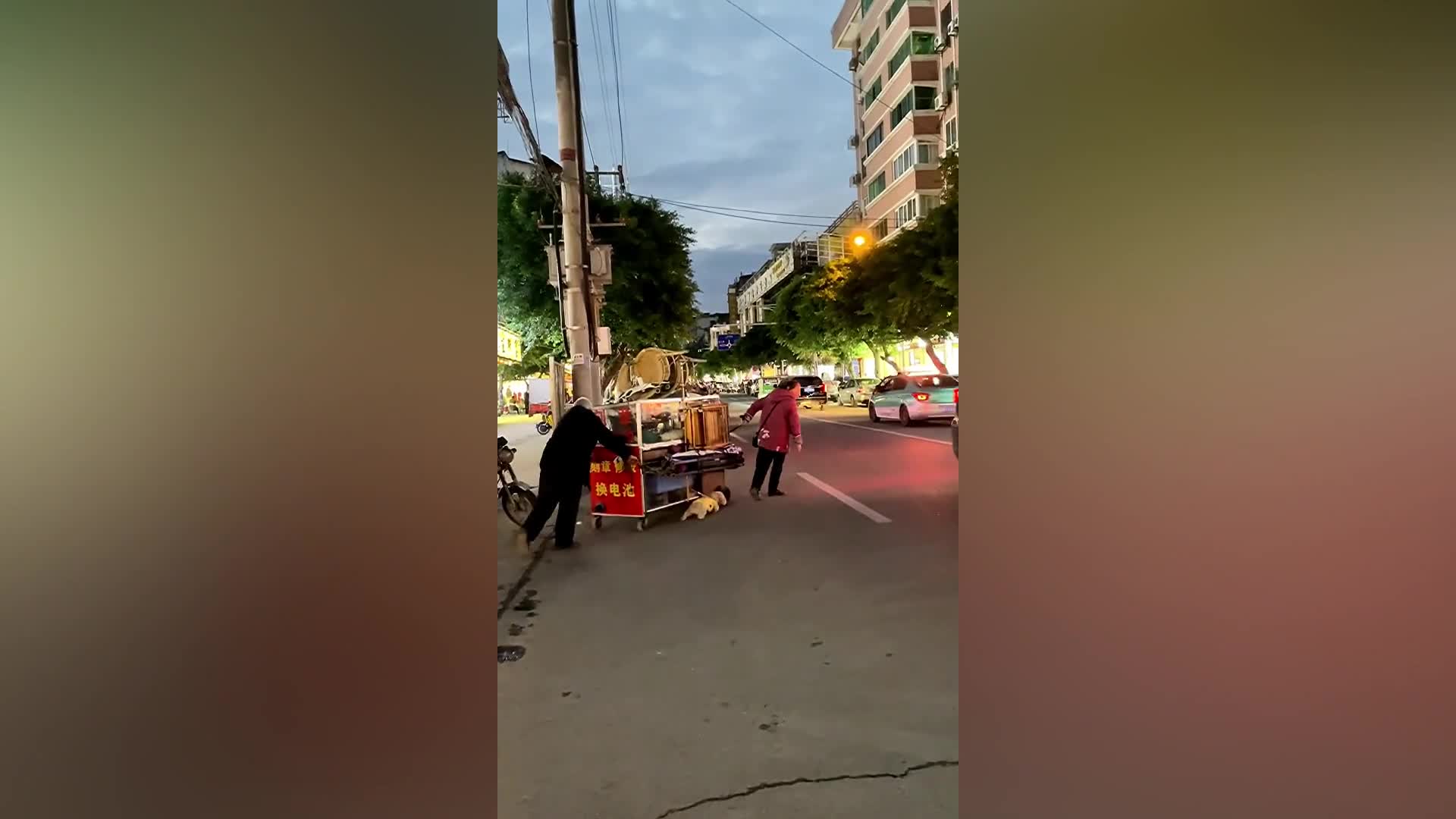 Giải trí - Clip: Chú chó dẫn đôi vợ chồng già qua đường 