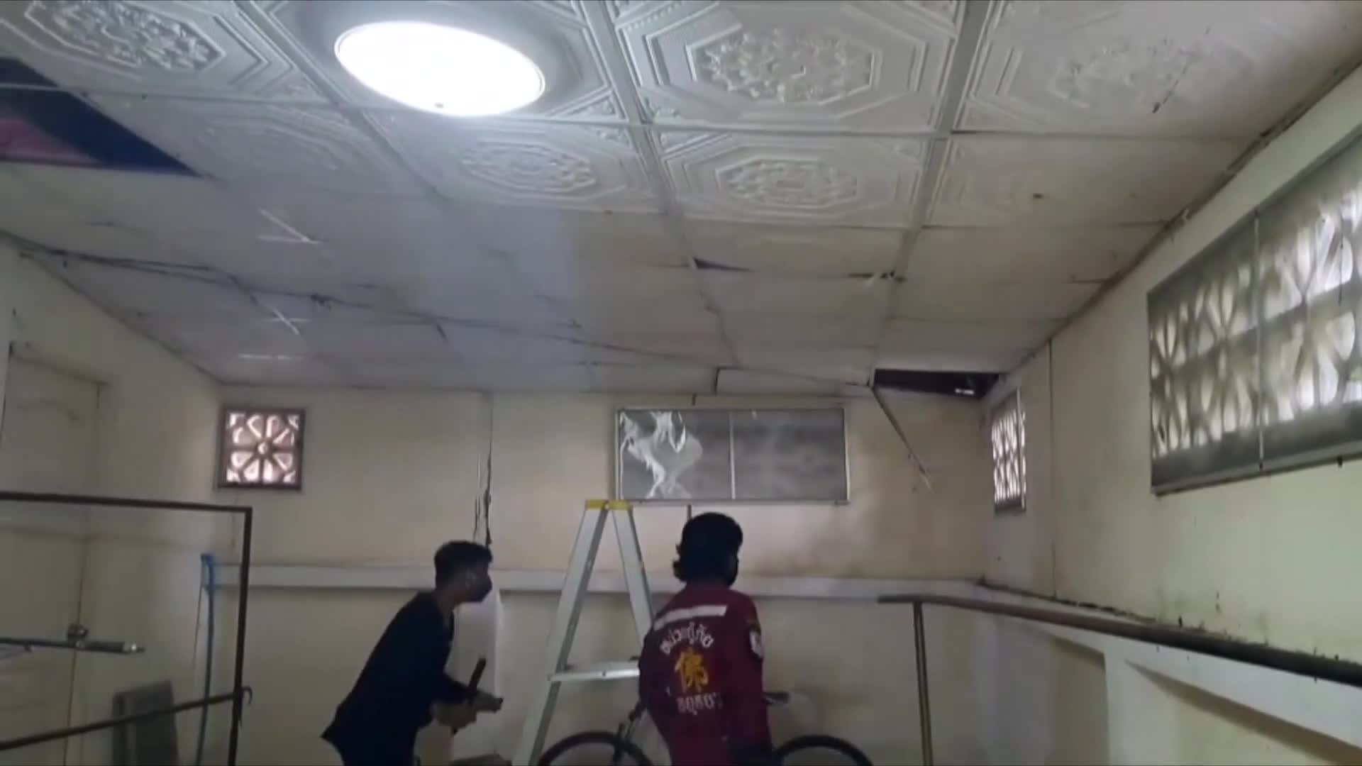 Video - Clip: Kịch tính màn vây bắt thằn lằn 'khổng lồ' trốn trên trần nhà