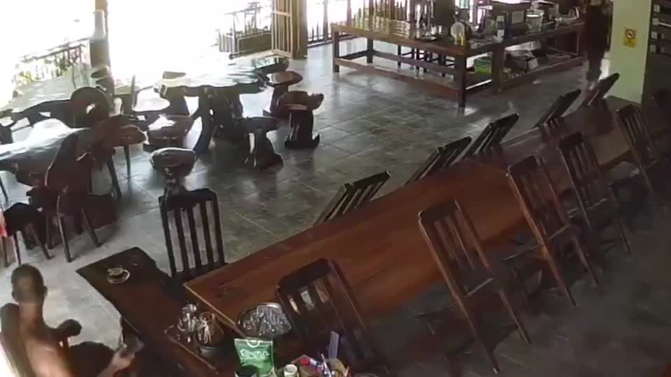Video - Clip: Rắn hổ mang chúa trườn qua chỗ ngồi, nhà sư có phản ứng khó tin