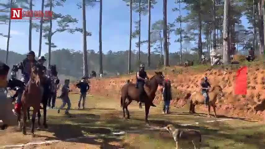 Văn hoá - Lâm Đồng: Ấn tượng giải đua ngựa không yên của những chàng trai K'Ho