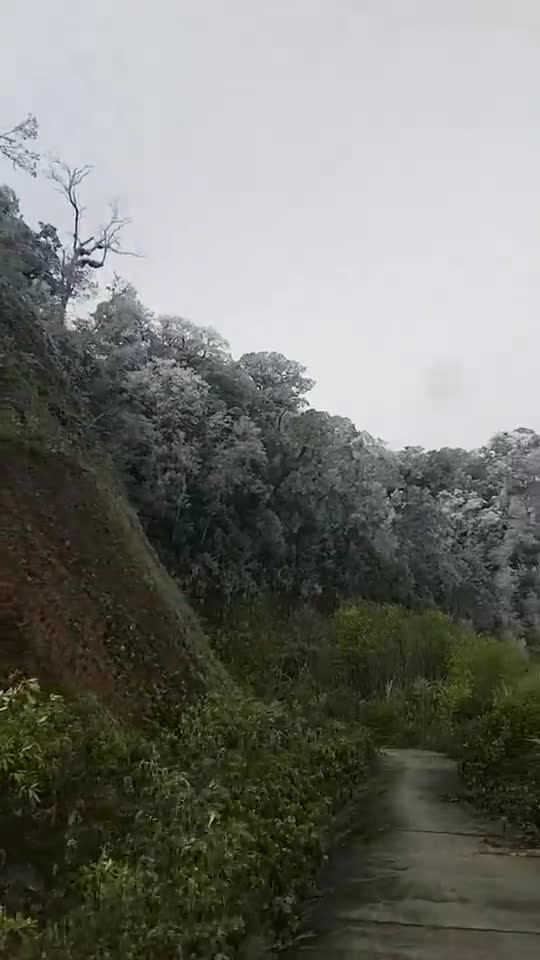 Dân sinh - Xuất hiện băng tuyết tại vùng núi cao Tây Nghệ An