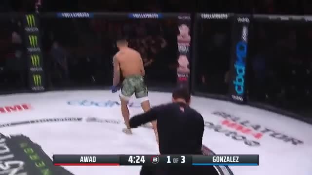 Video - Clip: Võ sĩ MMA tung cú đá 'sấm sét' hạ gục đối thủ trong 36 giây