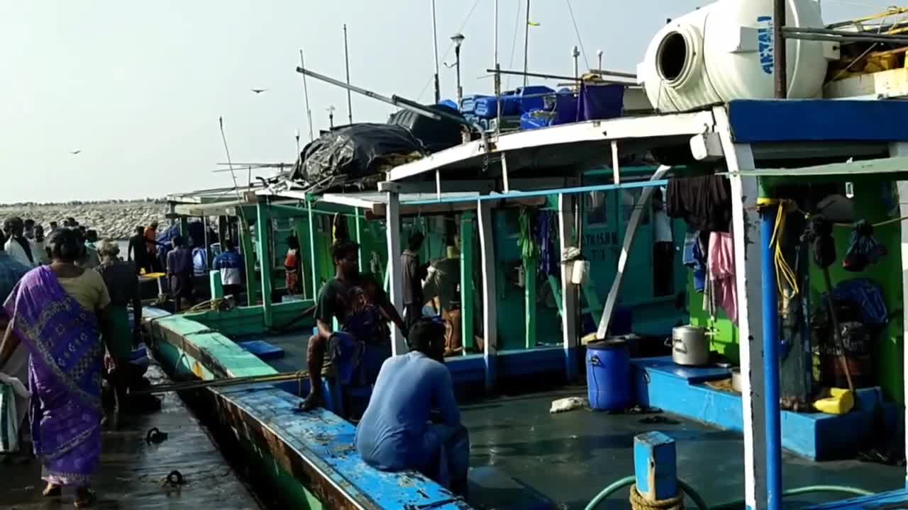 Video - Clip: Bắt được cá mú 'quái vật' nặng 450kg siêu quý hiếm
