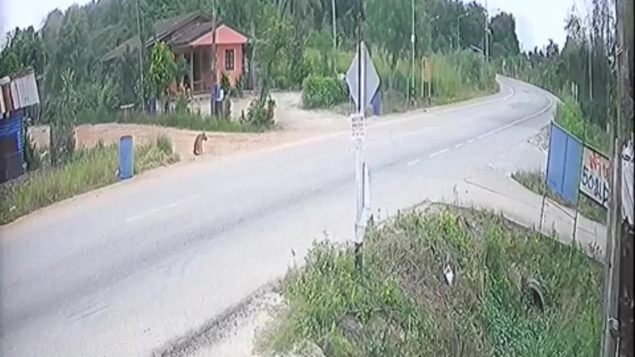 Video - Clip: Mất lái khi vào cua, xe chở rác lộn nhiều vòng rồi đè nát xe máy