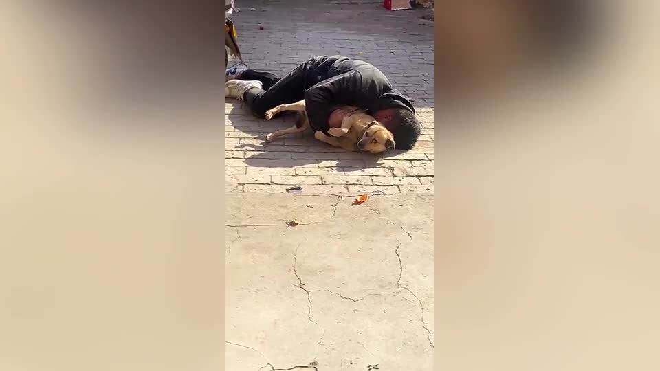 Video - Clip: Say rượu, người đàn ông ôm con chó ngủ ngay trên đường