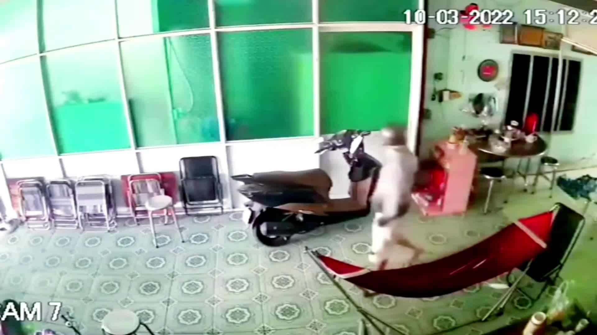 Video - Clip: Trộm túi xách bị bắt tại trận, thanh niên bị chủ nhà đấm tới tấp