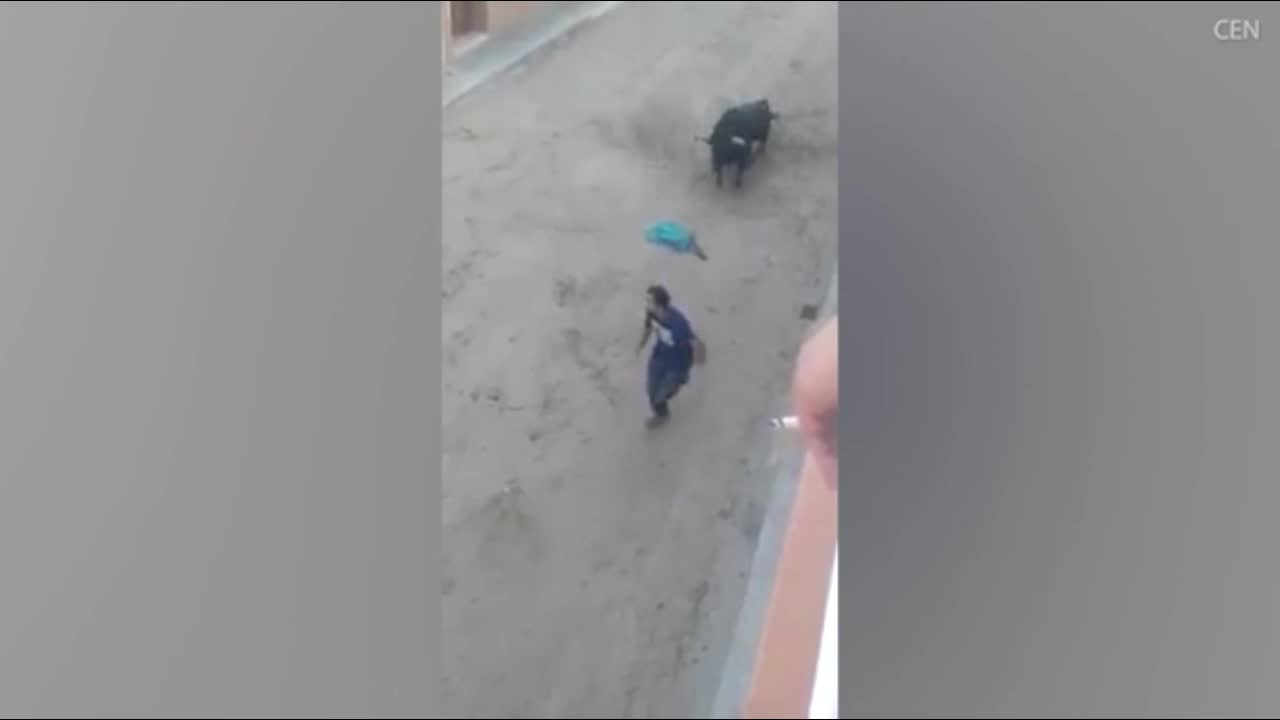 Video - Clip: Kinh hoàng cảnh người đàn ông bị bò húc văng, tấn công trên phố