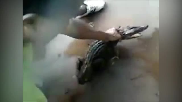 Video - Clip: Dại dột hôn cá sấu, người đàn ông bị đớp trúng mặt