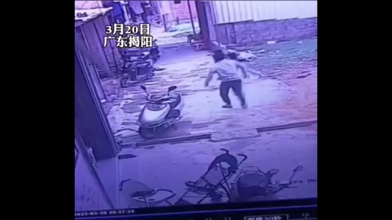 Video - Clip: 2 bé gái bị chó dữ tấn công giữa phố và màn giải cứu gay cấn