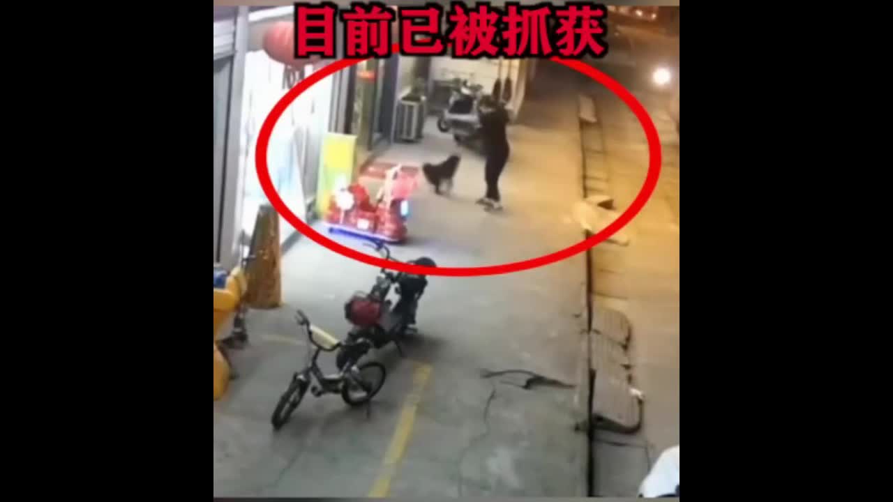 Video - Clip: Chó 'điên' phi thân, hung hăng tấn công người đi đường