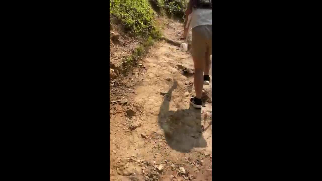 Video - Clip: Rắn lao ra khỏi bụi rậm, phi thân tấn công người leo núi