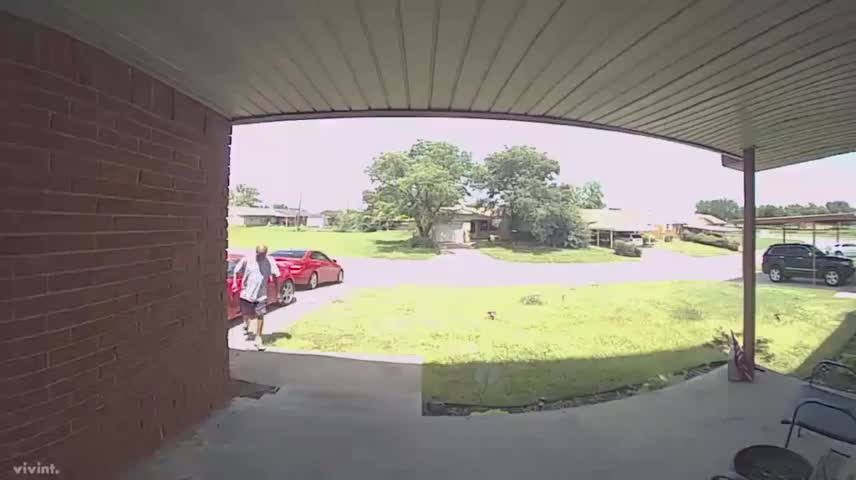 Video - Clip: Vừa mở cửa vào nhà, người đàn ông bị rắn đớp thẳng vào mặt