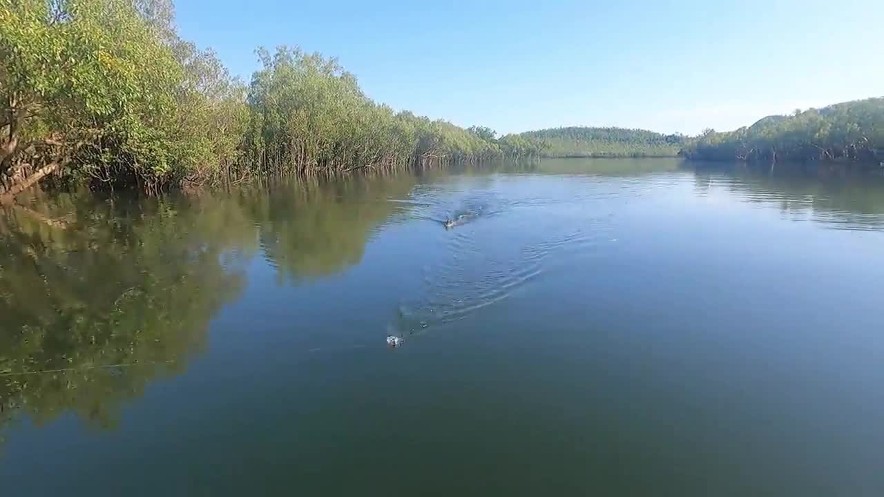 Video - Clip: 'Sát thủ đầm lầy' phóng thẳng lên ca nô, tấn công cặp đôi câu cá