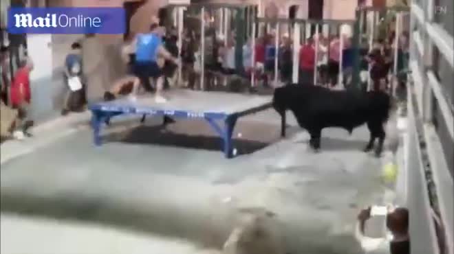Video - Clip: Bò đực nổi điên, húc văng người đàn ông lên không trung