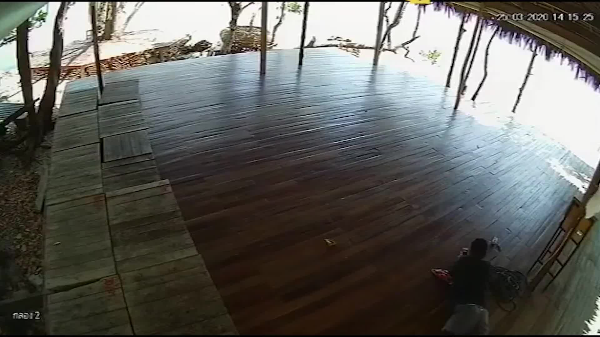 Video - Clip: Đang nằm trên sàn nhà, người đàn ông bị trăn trườn qua người
