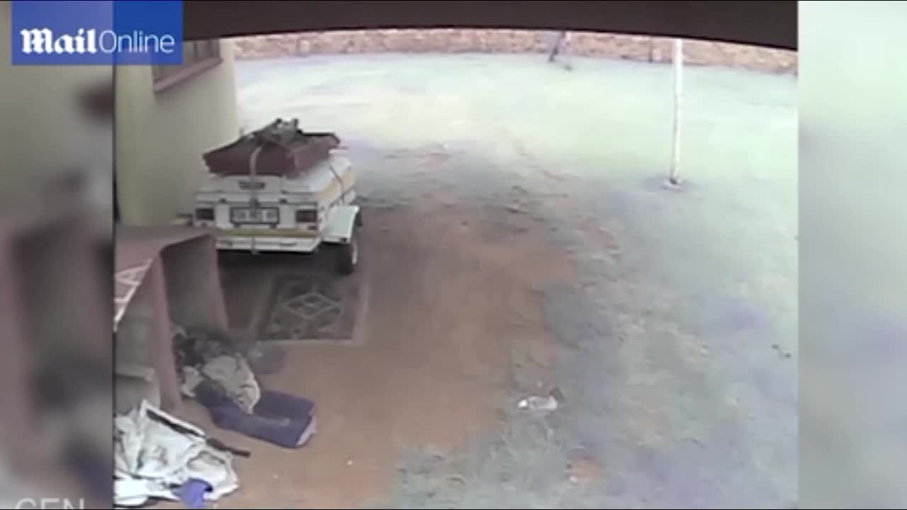 Video - Clip: Đang rình mò, tên trộm bị chó dữ lao ra tấn công và cái kết