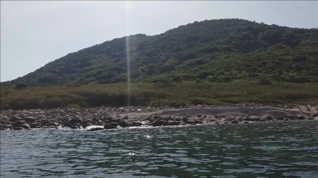 Môi trường - Video: San hô chết trắng trên bờ ở đảo Hòn Mun