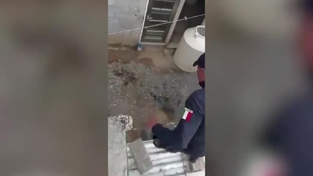 Video - Clip: Sốc cảnh bé 3 tuổi bị mẹ và bố dượng thả vào bình chứa nước