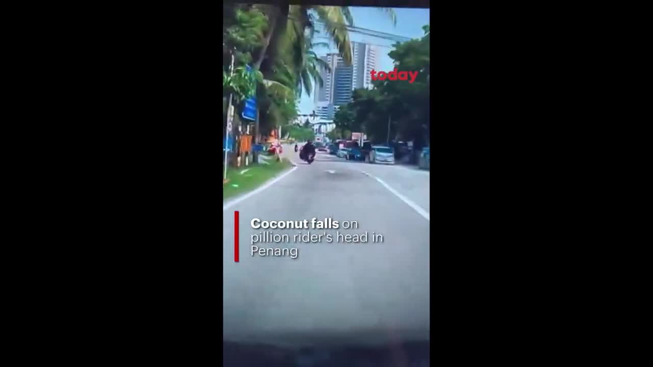 Video - Clip: Bị dừa rơi trúng đầu, người phụ nữ ngã văng xuống đường