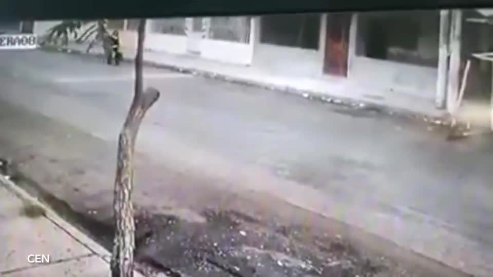 Video - Clip: Giật túi xách giữa phố, tên cướp bị 2 chú chó truy đuổi