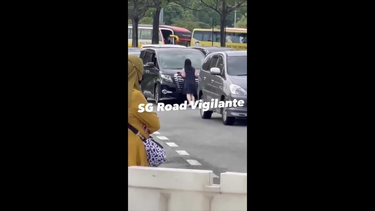 Video - Clip: Va chạm nhẹ, người phụ nữ giật tung biển số xe của đối thủ