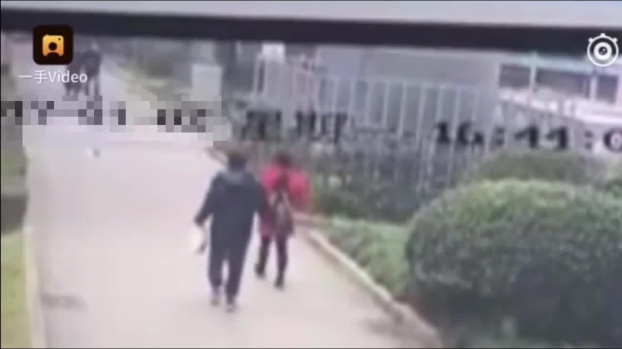 Video - Clip: Cô gái bị bạn nam cùng lớp đánh dã man và lý do gây phẫn nộ
