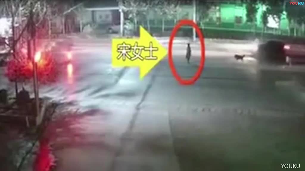 Video - Clip: Người phụ nữ bị chó Ngao Tây Tạng quật ngã, tấn công giữa phố