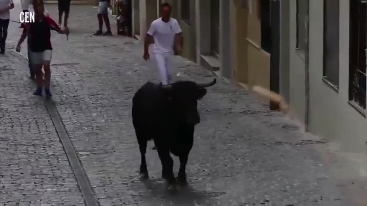 Video - Clip: Bò tót điên cuồng tấn công, hất văng người đàn ông trên phố