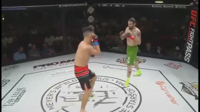 Video - Clip: Võ sĩ MMA bay người, hạ gục đối thủ bằng 'đòn gối bay' mãn nhãn