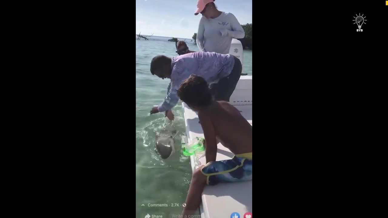 Video - Clip: Cố tình tiếp cận cá mập, người đàn ông nhận ngay kết đắng